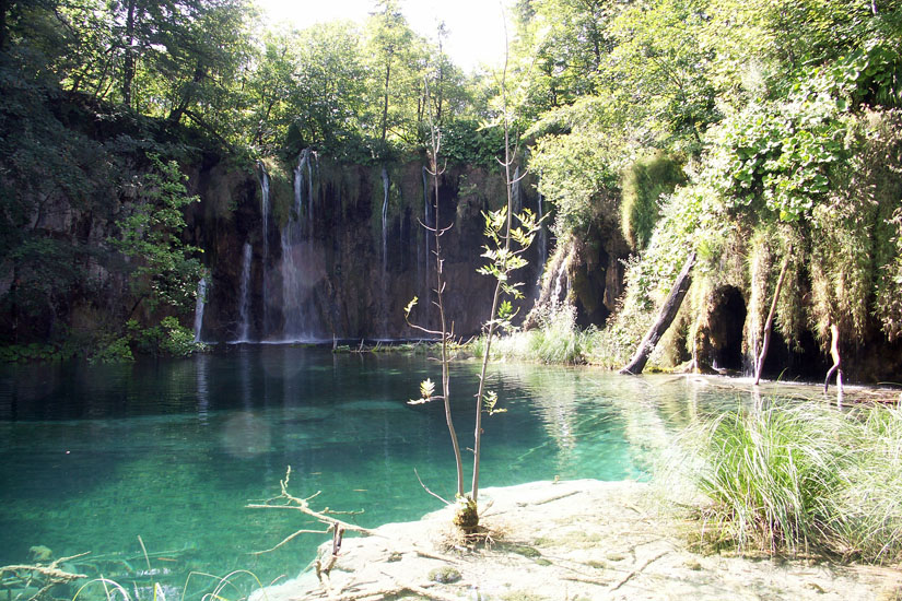 Obraz 112